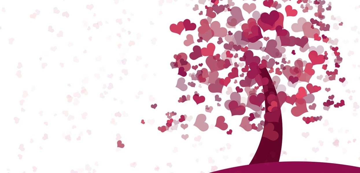 vendre cartes de voeux